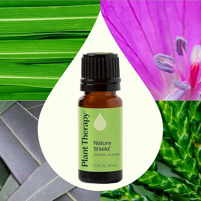 Plant Therapy Nature Shield Synergy Essential Oil 10 mL (1/3 oz) 100% Pure, Undiluted, Therapeutic Grade