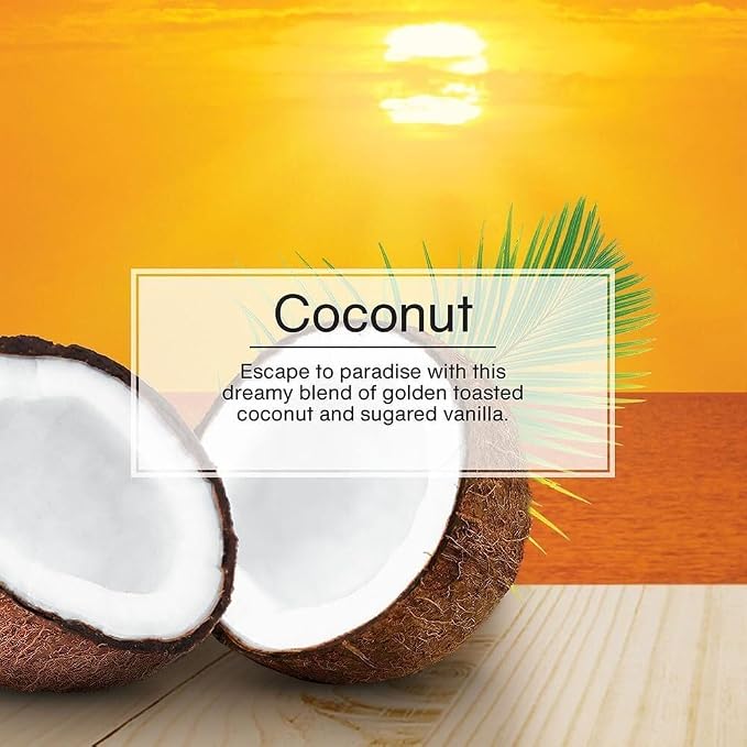 LITTLE TREES Car Air Freshener | Hanging Paper Tree for Home or Car | Coconut | 12 Pack (Packaging May Vary)