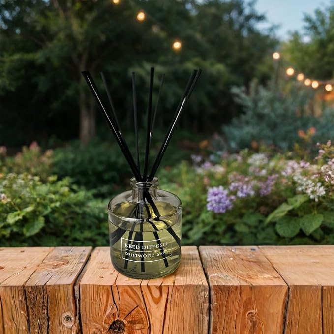 Bellevue Reed Diffuser, 6 fl oz Glass Filled Diffuser, Highly Concentrated Fragrances with Essential Oils, Home Fragrance, Scent:Driftwood Sand (Pack of 2)