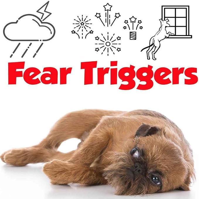 The Blissful Dog Brussels Griffon Relax Dog Aromatherapy Spray for Your Dog's Anxiety