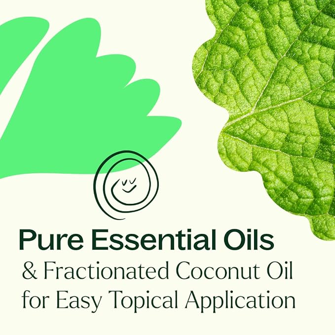 Plant Therapy Gut Aid Essential Oil Blend Roll-On 10 mL (1/3 oz) 100% Pure, Pre-Diluted Roll-On, Supports Healthy Digestion, Ready for Topical Application