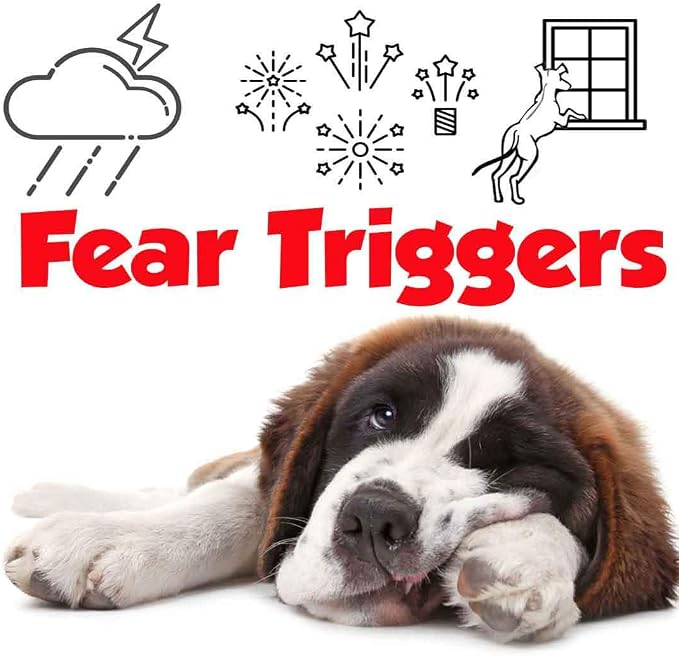The Blissful Dog St. Bernard Relax Dog Aromatherapy Spray for Your Dog's Anxiety