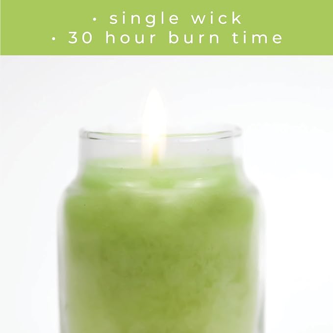 A Cheerful Giver - Sage & Citrus Baby Scented Glass Jar Candle (6oz) with Lid & True to Life Fragrance Made in USA