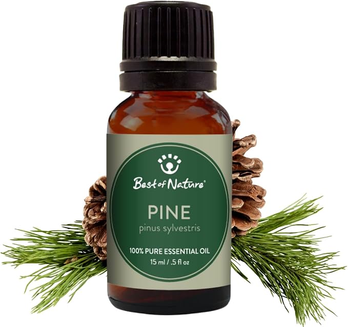 Best of Nature 100% Pure, Undiluted, Natural Aromatherapy Essential Oils for Diffuser, DIY Skincare and Topical Use (Pine)
