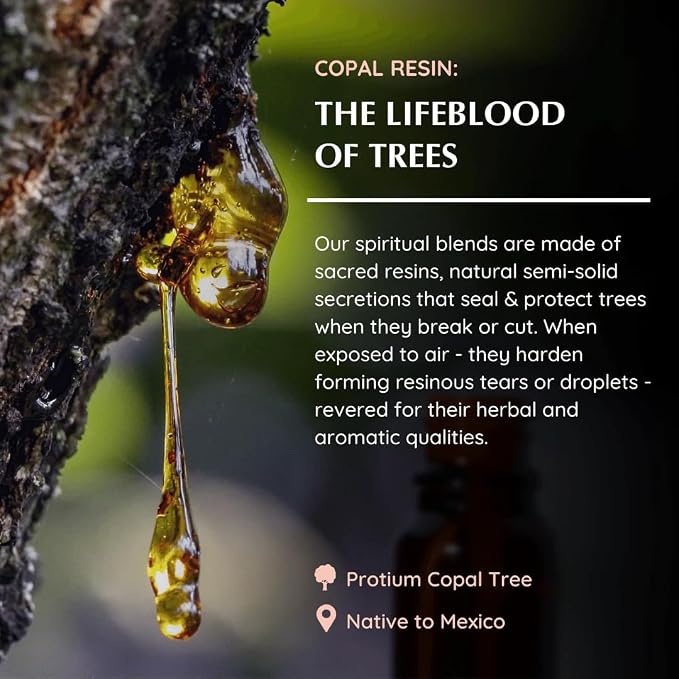 Copal Resin Essential Oil Diffuser Blend 30ml by Aromafume | Protium Copal (Burseraceae) Extract | Native to Mexico | Deepened Relaxation & an ambience for Rituals | Charged with Pure Resins