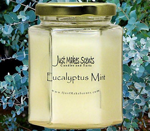 Eucalyptus Mint Scented Blended Soy Candle | Aromatherapy Stress Relief | Hand Poured in the USA by Just Makes Scents (8 oz)