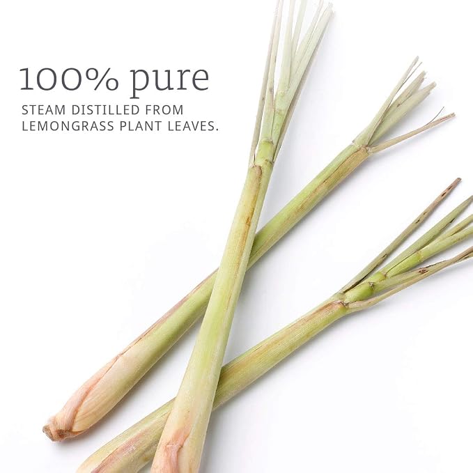 NOW Essential Oils, Lemongrass Oil, Uplifting Aromatherapy Scent, Steam Distilled, 100% Pure, Vegan, Child Resistant Cap, 1-Ounce