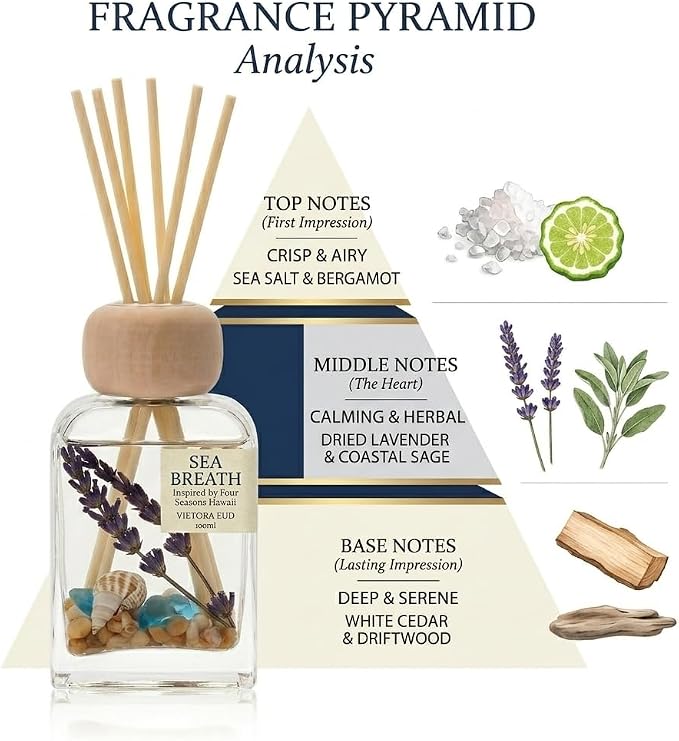 Sea Salt Reed Diffuser for Bathroom & Bedroom - 3.38 Fl Oz, Ocean Breeze Home Fragrance for Women, Coastal Beach Decor with Seashells, Spa Aromatherapy, Non-Toxic Long Lasting & Gift Ready