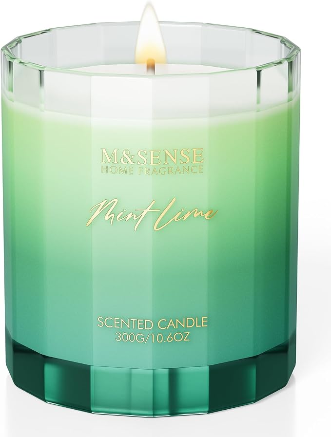 M&SENSE Citronella Mint Soy Candle, 10.6oz Indoor & Outdoor Fresh Scent | Natural Soy Wax, 60-Hour Long Lasting Burn Time, Non Toxic Relaxing Candle for Summer, Stress Relief for Family Friends