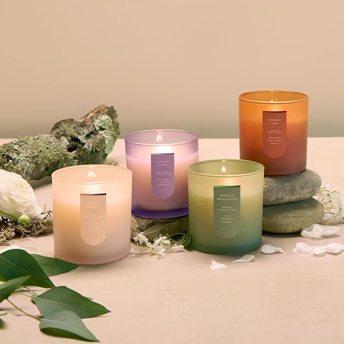 CUE Scented Candle |MoodBoost Essential Oils |OpenWick Clean Burning Candle | Soy Coconut Wax Blend | Candle for Home | Gift |Extended Burn Time (14oz, Dewy Aloe and Eucalyptus)