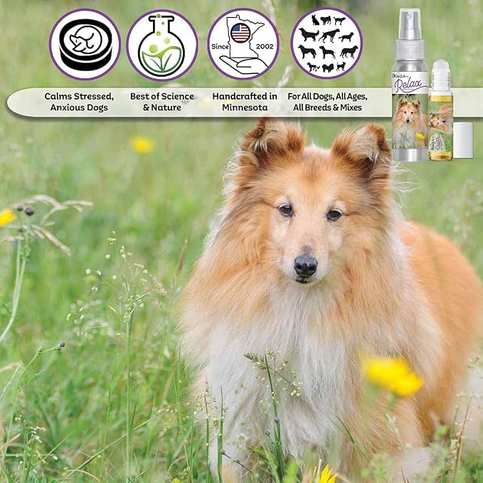The Blissful Dog Shetland Sheepdog Relax Aromatherapy Spray for Your Dog's Anxiety