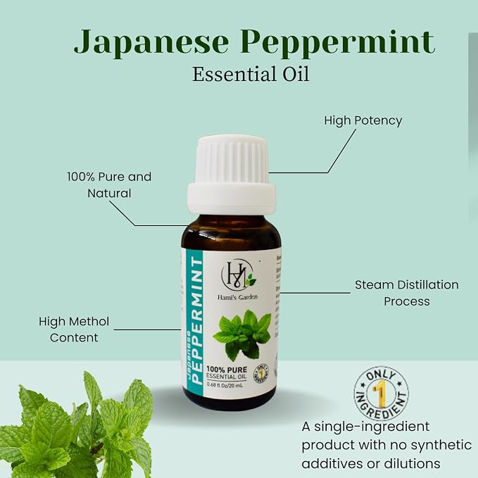 Hami’s Garden Japanese Peppermint Essential Oil – 100% Pure and Natural – Premium Grade with Glass Dropper – 0.68 fl Oz/20 mL