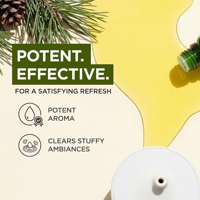 Gya Labs Organic Pine Needle Essential Oil - 0.34 Fl Oz - for Skin, Hair, Diffuser, Aromatherapy, DIY Candle Making Scents