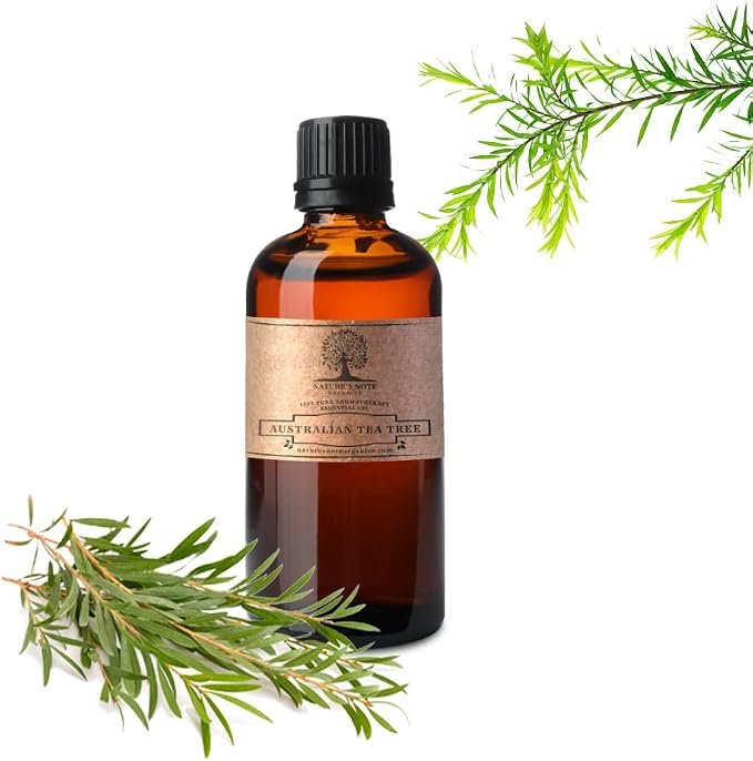Australian Tea Tree Essential Oil - 100% Pure Aromatherapy Grade Essential Oil by Nature's Note Organics (10 ml)