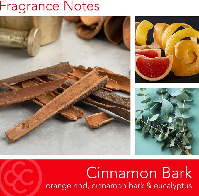 Colonial Candle Cinnamon Bark Scented Jar Candle | 2-Wick Natural Soy Blend Wax Candle for Home | Relaxing Aromatherapy Candle Infused with Essential Oils | M. Baker Apothecary Glass Jar Candle