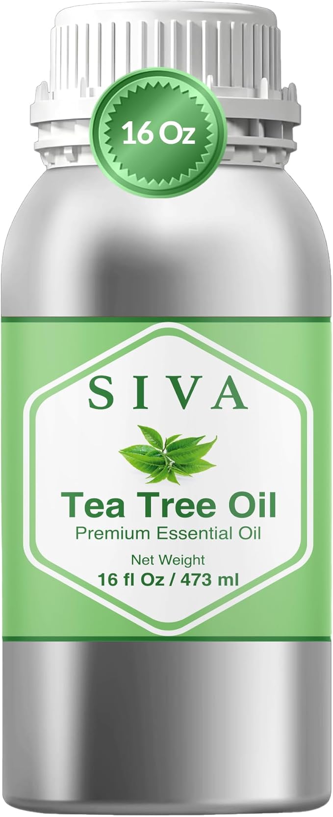 Siva Tea Tree Essential Oil 16 Fl Oz – for Diffuser, Skin & Hair Care – Ideal for Aromatherapy, Massage & DIY Blends