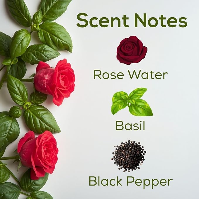 Scent Fill 100% Natural Sweet Rose & Basil Plug in Air Freshener, Scented Oil Refills, 3 Refills