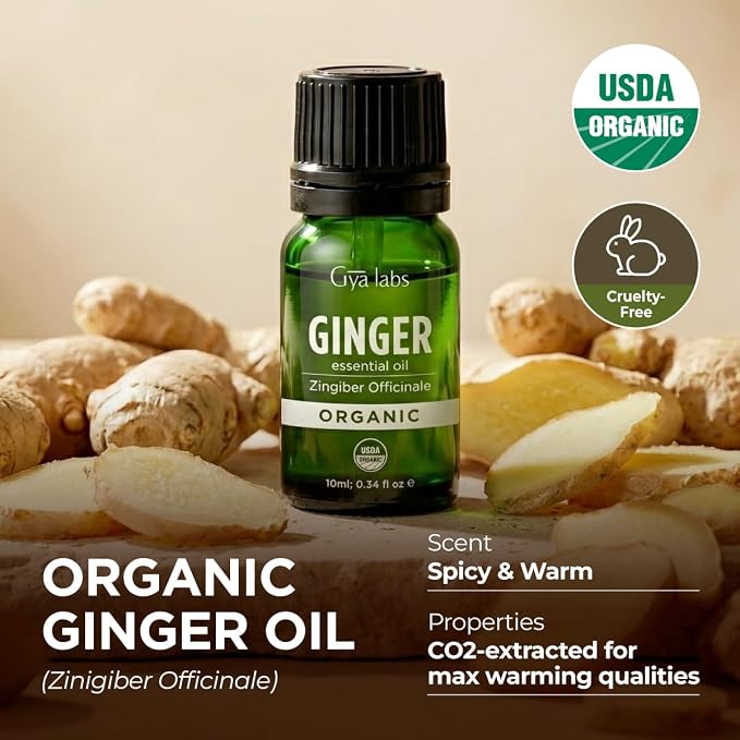 Gya Labs USDA Certified Organic Ginger Essential Oil for Warming Massage, Diffuser - for Topical Use, Hair, Aromatherapy, Spicy & Energizing Aroma - DIY Candle Making Scents - 0.34 Fl Oz