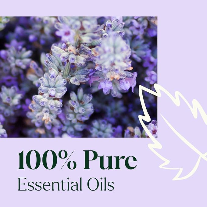 Plant Therapy Home Sparkling Lavender Laundry Essential Oil Blend 10 mL (1/3 oz) Pure, Undiluted, Wash Fragrance and Scent Enhancer
