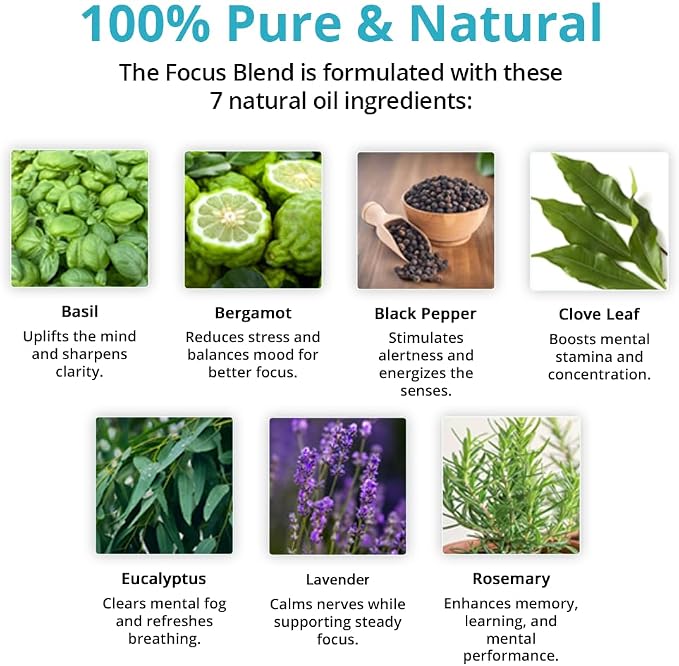 Wild Essentials Focus 100% Pure Essential Oil Synergy Blend 2 Pack 10ml, Therapeutic Grade Concentration Formula for Mental Clarity, Study, Work, Test, Interview, Attention Made in The USA