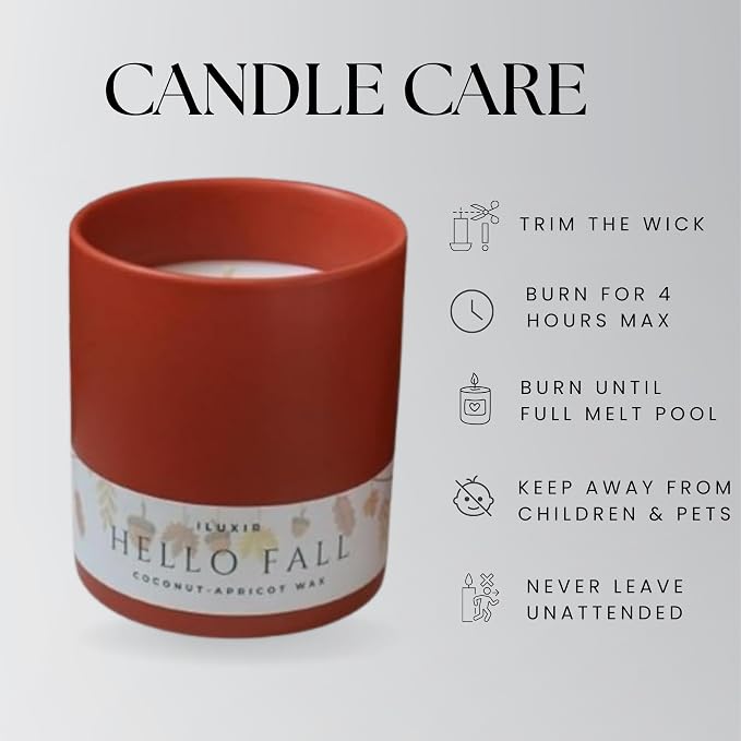 Hello Fall Luxury Candle – Apple Cinnamon, Nutmeg, Clove & Vanilla – Handcrafted Vegan Coconut Wax, Phthalate-Free, Cruelty-Free – Autumn Scented Candle for Home Décor & Gifting (13 oz.)