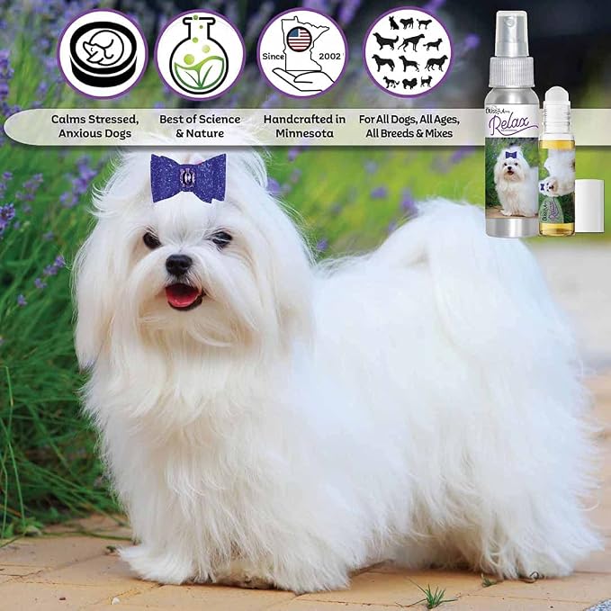 The Blissful Dog Maltese Relax Dog Aromatherapy Spray for Your Dog's Anxiety