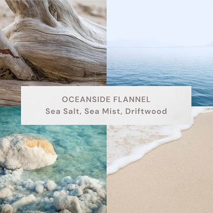 Scented Re ed Diffuser 3 Fl Oz (90 ml) W/ 8 Synthetic Sticks (Oceannside Flannel)