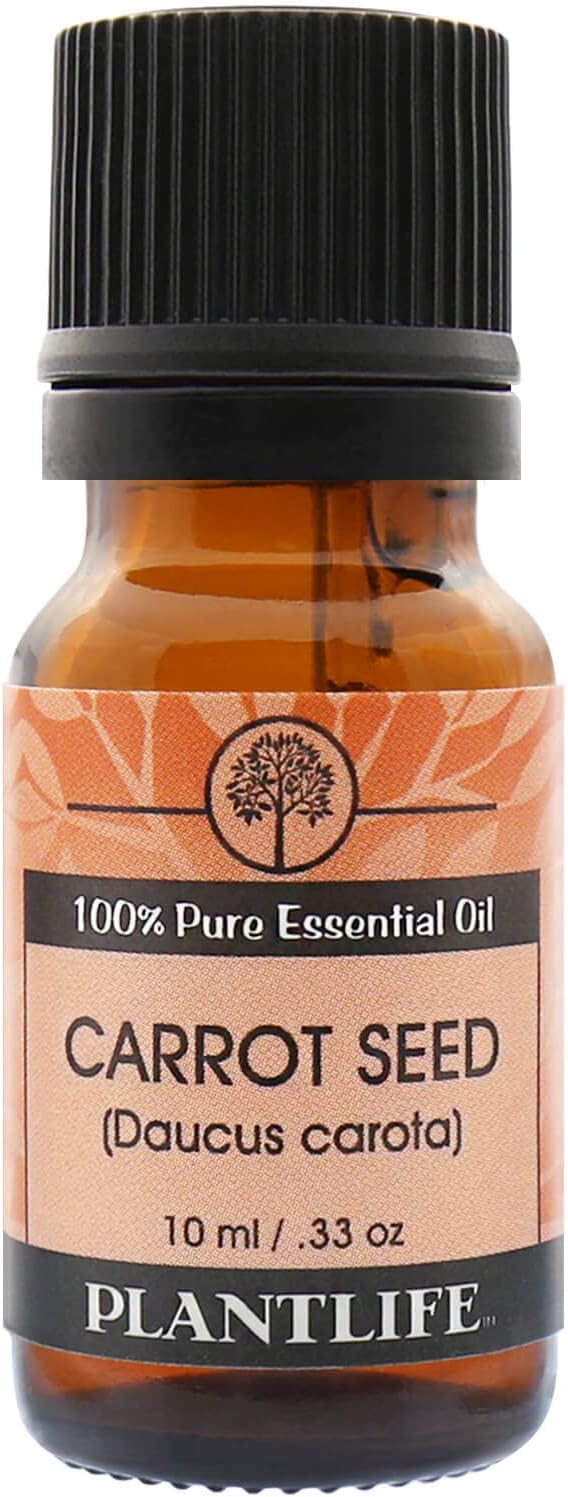 Plantlife Carrot Seed Aromatherapy Essential Oil - Straight from The Plant 100% Pure Therapeutic Grade - No Additives or Fillers - 10 ml