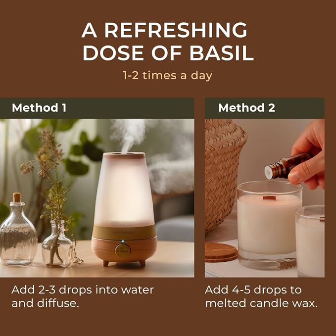 100% Pure Holy Basil (Tulsi) Essential Oil - 0.34 Fl Oz - Holy Basil (Tulsi) Oil for Hair, Skin, Diffuser, Aromatherapy & DIY Candle Making Scent