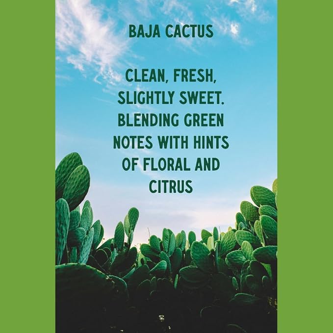 Baja Cactus from Our Spa Collection - Perfect for Adding Aroma to Freshies, Candles, Soaps, and Diffusers - 4 oz