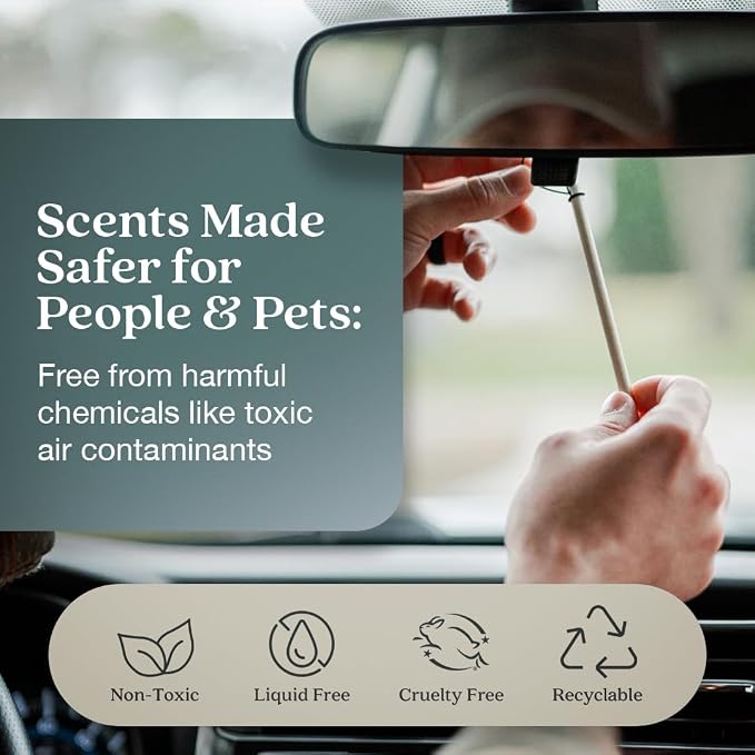 Enviroscent Non-Toxic* Car Air Freshener Auto Stix® - Scents Made Safer - Enjoy Fragrance Lasts Up to 480 Days - Includes Auto Stix® Diffusers & Elastic Loops - Black Vanilla & Mandarin (Pack of 8)