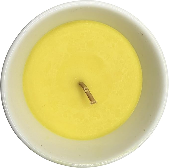Capricorn Zodiac Candle – Jasmine Scented Soy Candle for Self Care & Relaxation – Zodiac Birthday Gift – 80 Hour Burn – Reusable Ceramic Jar