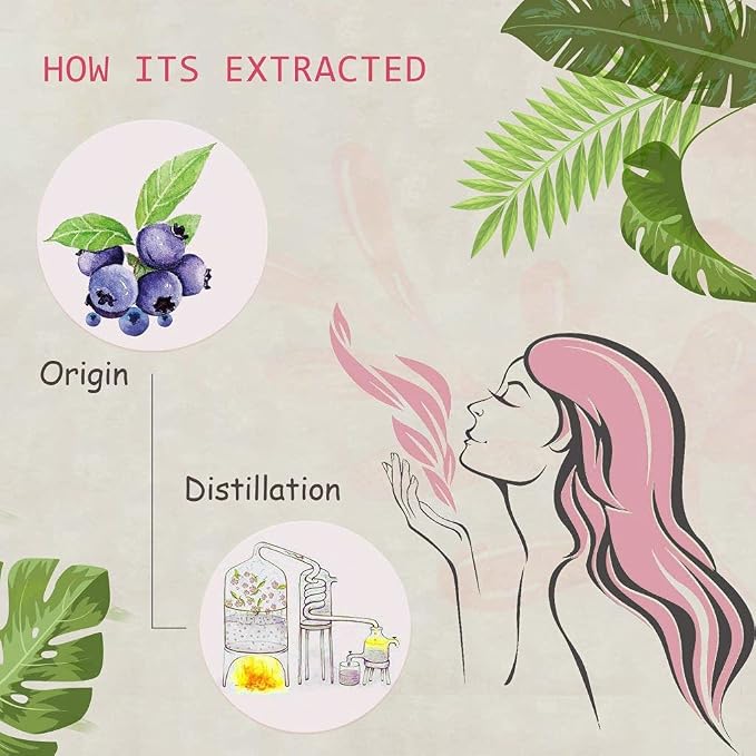 Blueberry Essential Oil - 100% Pure Organic Natural Plant (Cyanococcus) Blueberry Oil for Diffuser, Aroma, Spa, Massage, Yoga, Perfume, 0.33oz