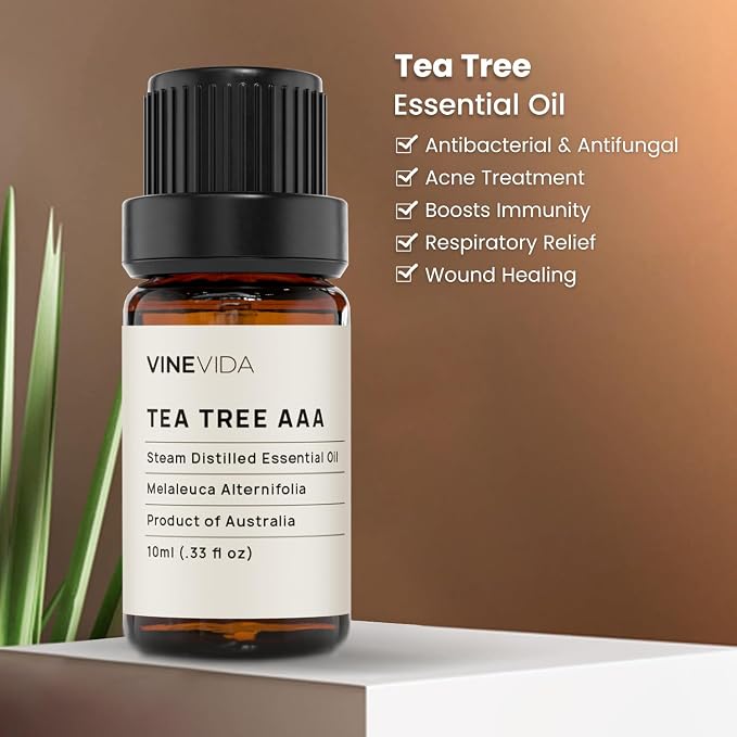 VINEVIDA Tea Tree Essential Oil - Undiluted, 10 mL - Candle Oil Scent - DIY Candle Scents - Safe for Soap Making & Skin
