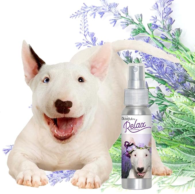 The Blissful Dog Bull Terrier Relax Dog Aromatherapy Spray for Your Dog's Anxiety