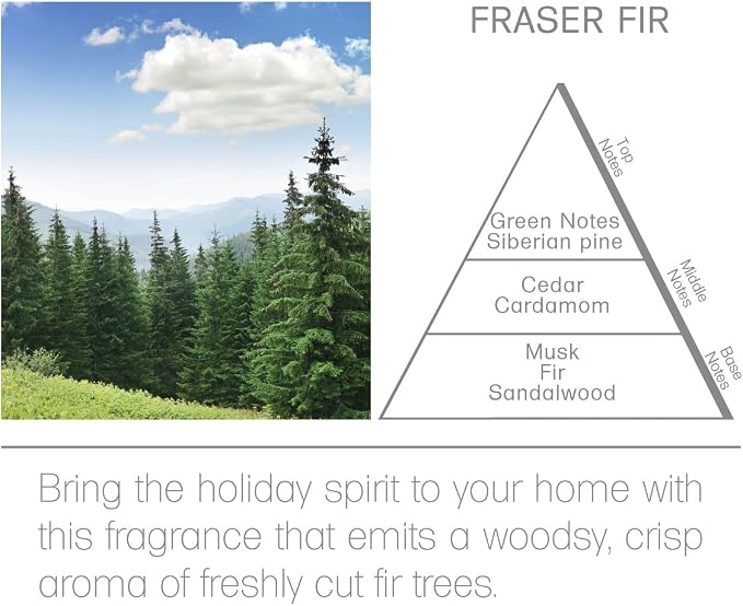Acqua Aroma Fraser Fir Reed Diffuser Oil Refill 6.8 FL OZ (200ml) Contain Essential Oils. Fraser Fir Christmas Scent