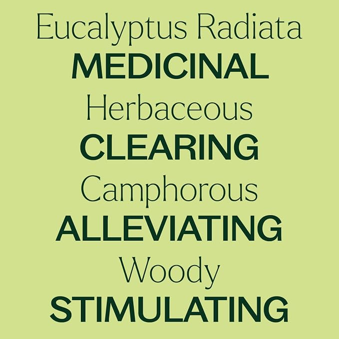 Plant Therapy Eucalyptus Radiata Essential Oil 30 mL (1 oz), 100% Pure, Undiluted, for Aromatherapy, Respiratory Support & Focus