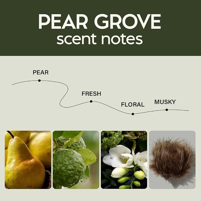 Scented Car Air Freshener - Long Lasting Essential Oil Diffuser - Car Accessories for Men & Women - Pack of 2 Non-Toxic Car Air Freshener - 0.27FL OZ/8ML (Pear Grove 8ml, Pear)