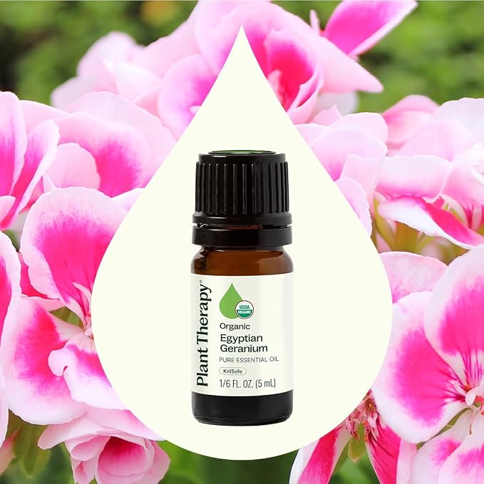 Plant Therapy Organic Egyptian Geranium Essential Oil 100% Pure, USDA Certified Organic, Undiluted, Natural Aromatherapy, Therapeutic Grade 5 mL (1/6 oz)
