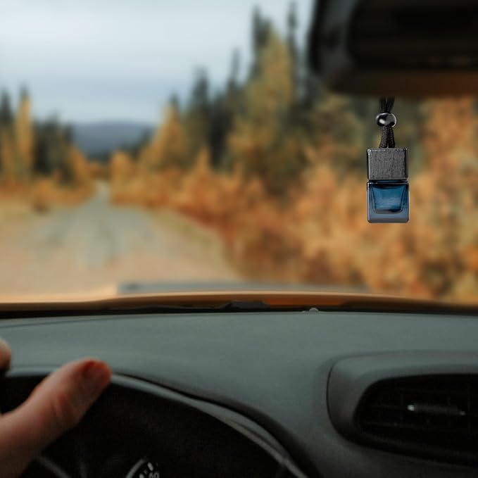 4 Pack Empty Hanging Car Air Freshener Bottles, Refillable Essential Oil Diffuser for Car & Office, Aromatherapy Decor Cube