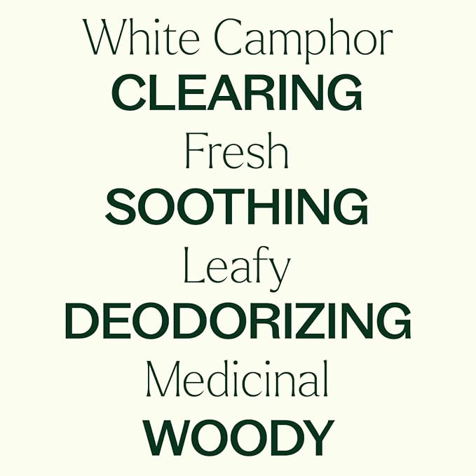 Plant Therapy White Camphor Essential Oil 10 mL (1/3 oz) 100% Pure, Undiluted, Natural Aromatherapy