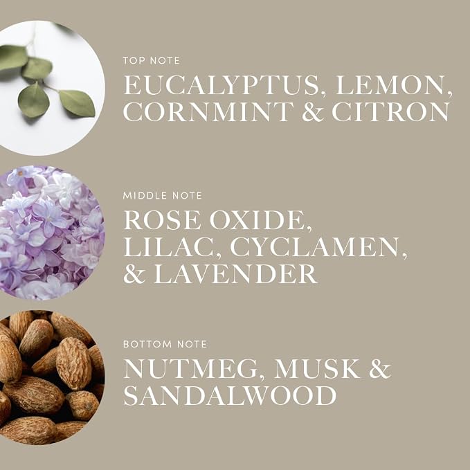 Aroma360 - Across The Universe Pro Pod Fragrance Oil Blend | Hotel Inspired Luxury Essential Oil Diffuser | Aromatherapy Scent Diffuser Oil | Eucalyptus, Citrus and Soft Florals 1.7 fl oz, 50 mL