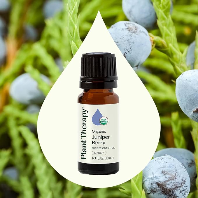 Plant Therapy Organic Juniper Berry Essential Oil 100% Pure, Undiluted, Natural Aromatherapy, Therapeutic Grade 10 mL (1/3 oz)