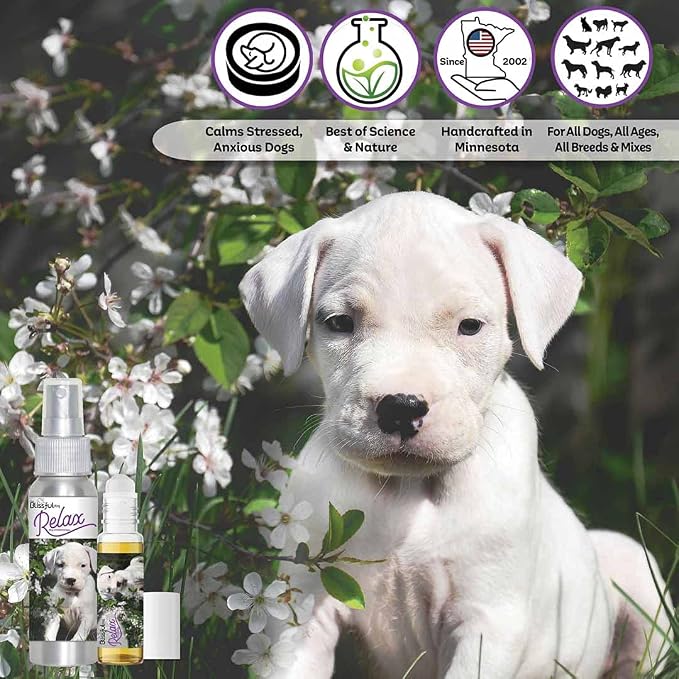 The Blissful Dog Dogo Argentino Relax Roll-ON Aromatherapy for Dogs - Anxiety Relief for Dogs