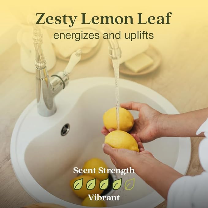 Enviroscent Non-Toxic Air Freshener for Home | Liquid Free Diffuser | Home Fragrance Lasts Over 30 Days | Kit Includes 1 Mango Wood Stand & 1 Scent Stix Refill (Lemon Leaf & Thyme)