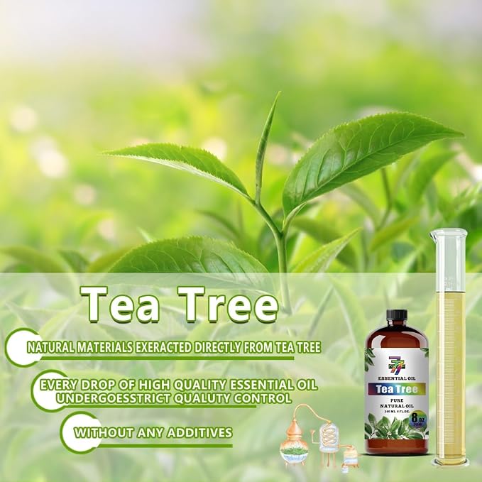 Tea Tree Essential Oil, Tea Tree Oils, for Diffuser, Cleaning, Humidifier, DIY Candles, Soap, Home, Gift, Essential Oil, GV77ZF Tea Tree Fragrance Oil - 8 fl oz (240 ml)