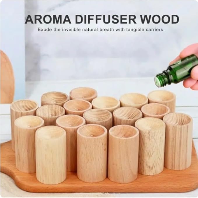 6 Counts Charcoal Wooden Diffuser, Best Hand-Crafted Wick Essential Oil Diffuser with Continuous Scent Release Closets Shoe Storage Cars and saunas
