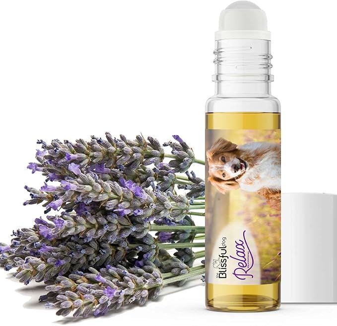 The Blissful Dog Brittany Dog Relax Roll-ON Aromatherapy for Dogs - Anxiety Relief for Dogs
