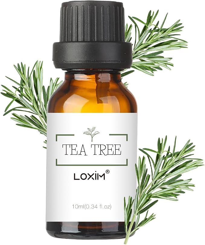 LOXIM Tea Tree Essential Oil, Pure Natural Essential Oils, Fragrance Oil Perfect for Humidifiers, Diffusers, Candle Making, Scent Home and Office (Pack of 1, Tea Tree)
