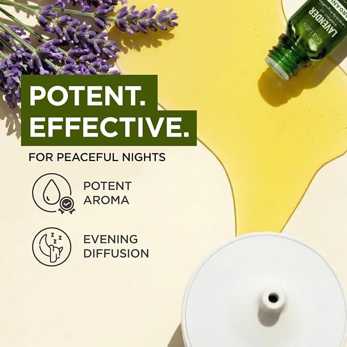 Gya Labs USDA Certified Organic Lavender Essential Oil for Relaxation & Rest - for Skin, Hair, Diffuser, Aromatherapy, DIY Candle Making Scents - 0.34 Fl Oz